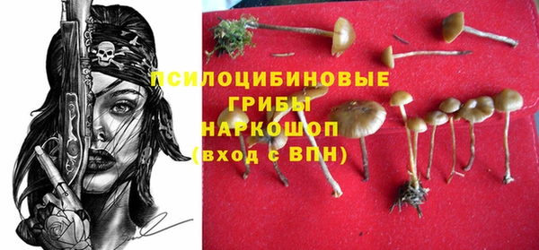 прущие крисы Аркадак