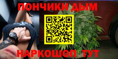 Альфа ПВП Аргун