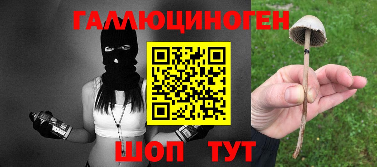 Псилоцибиновые грибы прущие грибы  Вход с VPN  Верхняя Салда 